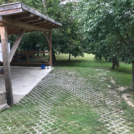 Elena *